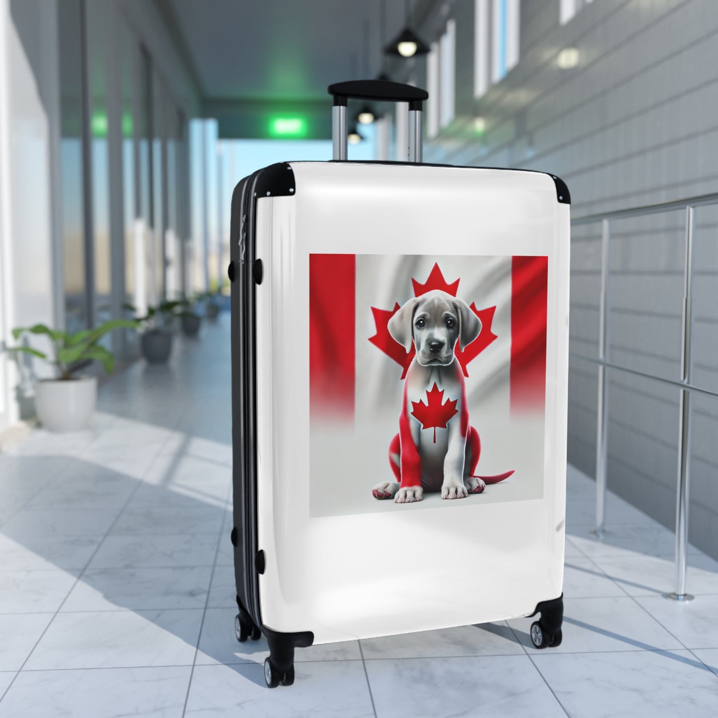 Suitcase