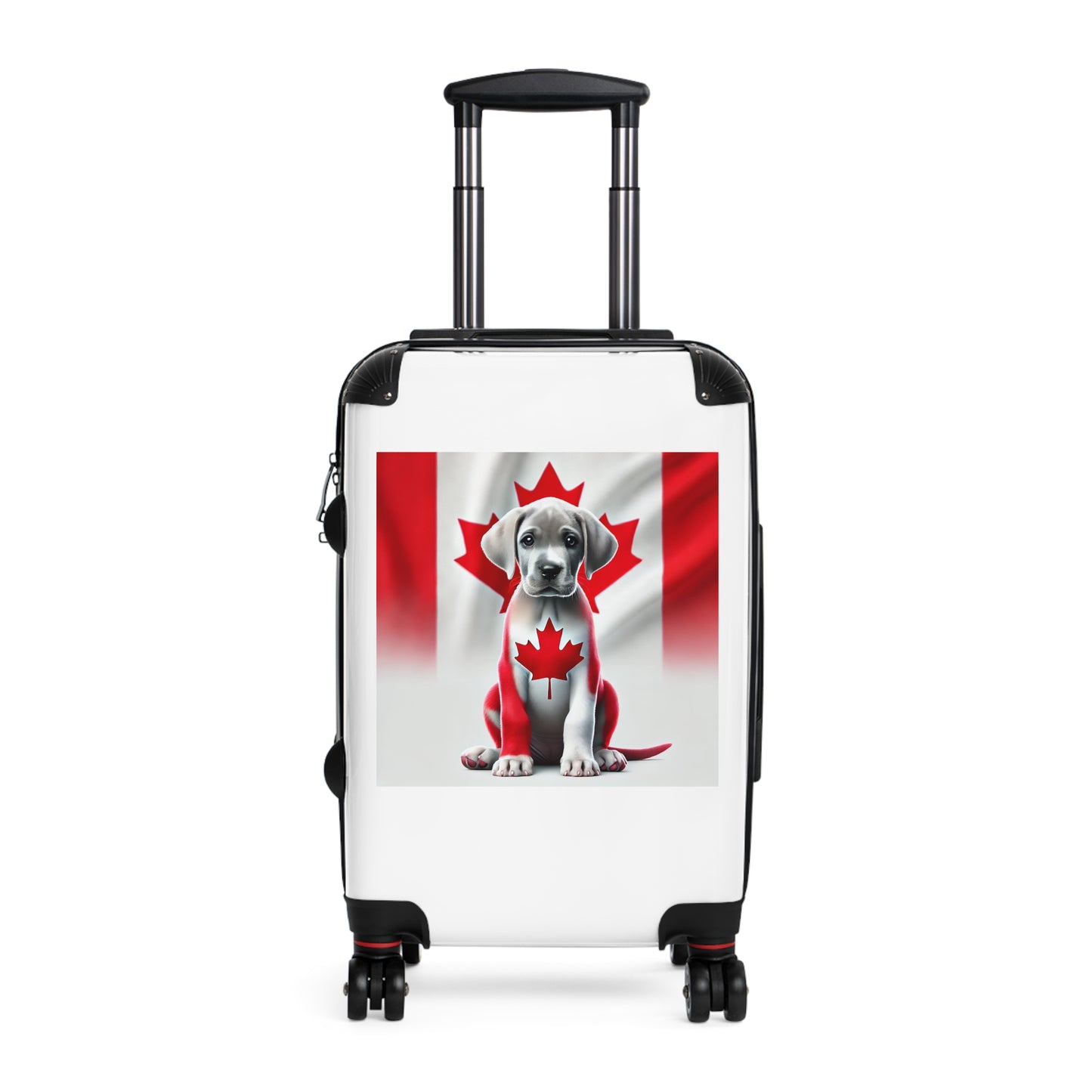 Suitcase
